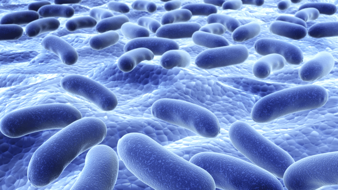 Best Anti-Bacterial Soaps for Men: A Complete Guide